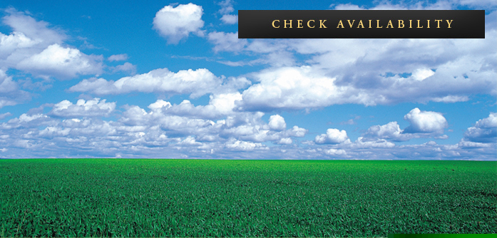 Making Our World A Greener Place